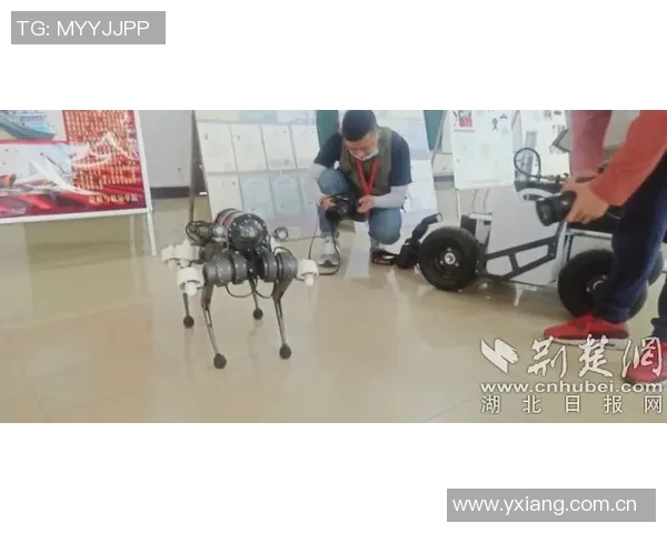 你得了40分可以畅玩游戏马克西即将开启精彩游戏直播活动